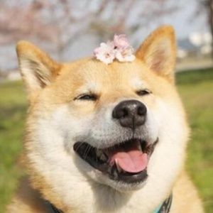 Meet your Posher, Mina